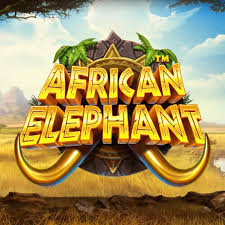 African Elephant Slot Online